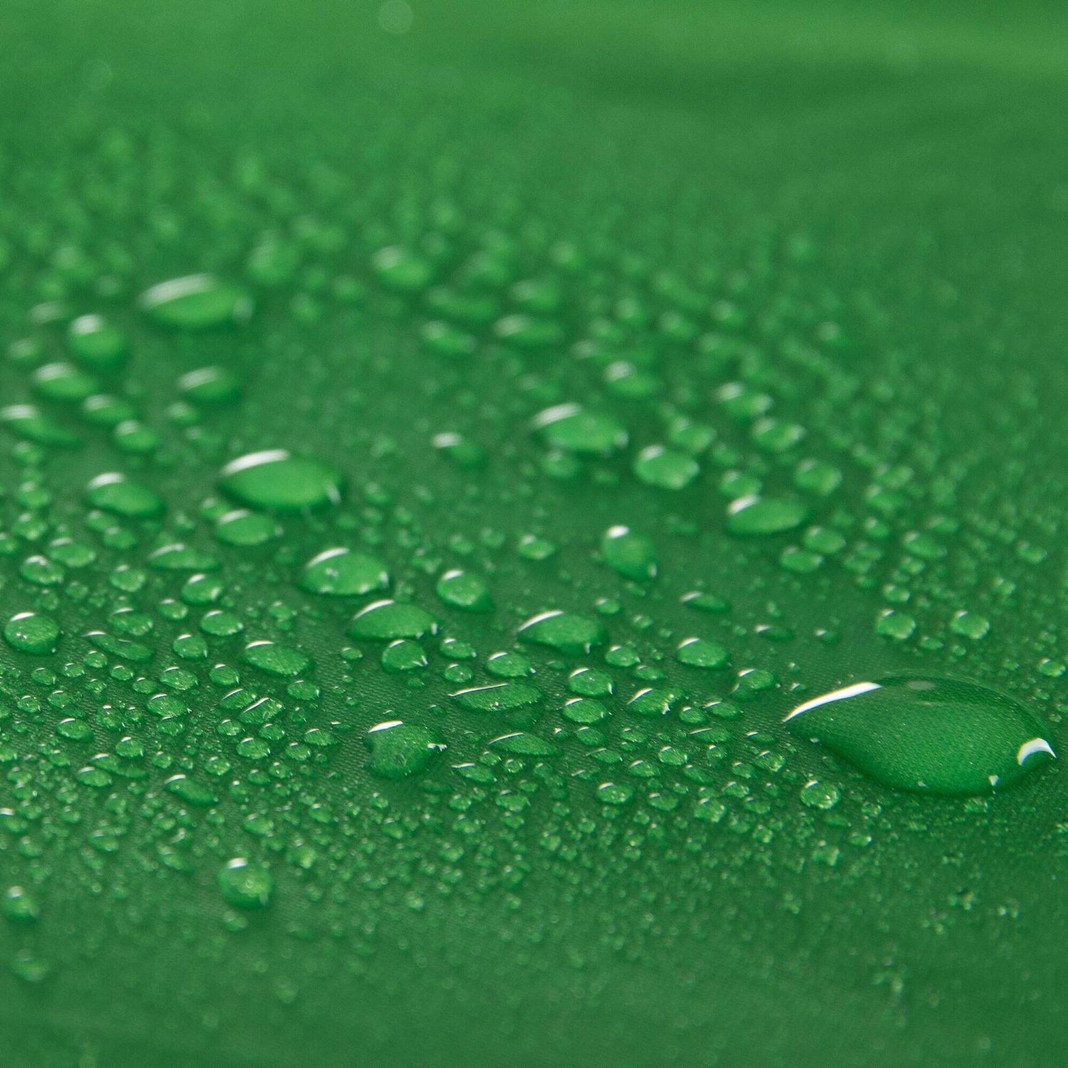 Regatta Vester 4-Man Adults' Camping Tent 3 Regatta Vester 4-Man Adults' Camping Tent - Image 3