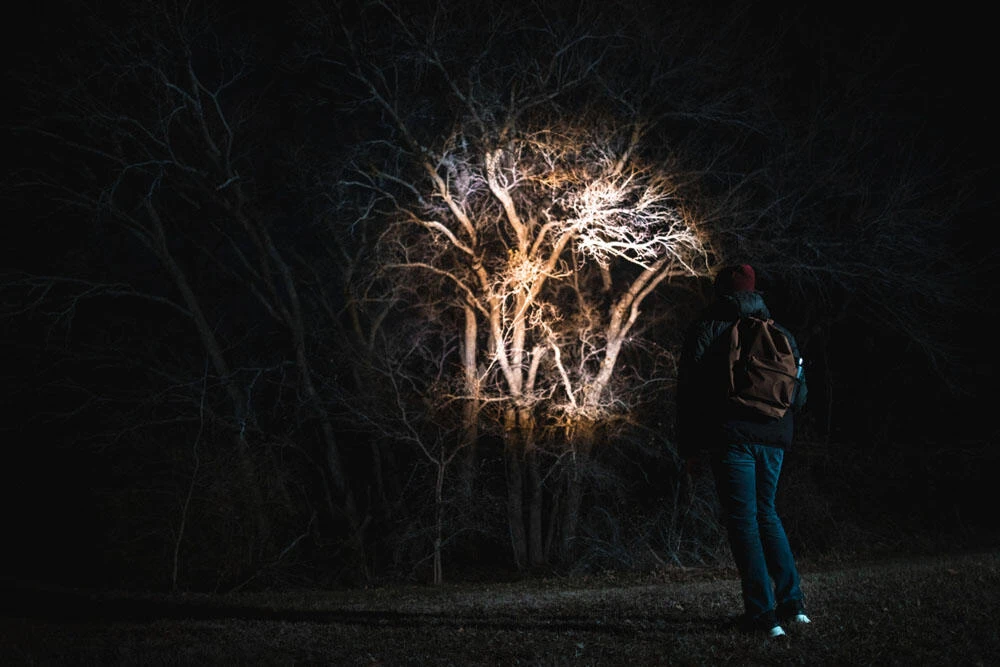 NEBO Newton 1000 Lumen Torch 5 NEBO Newton 1000 Lumen Torch - Image 5