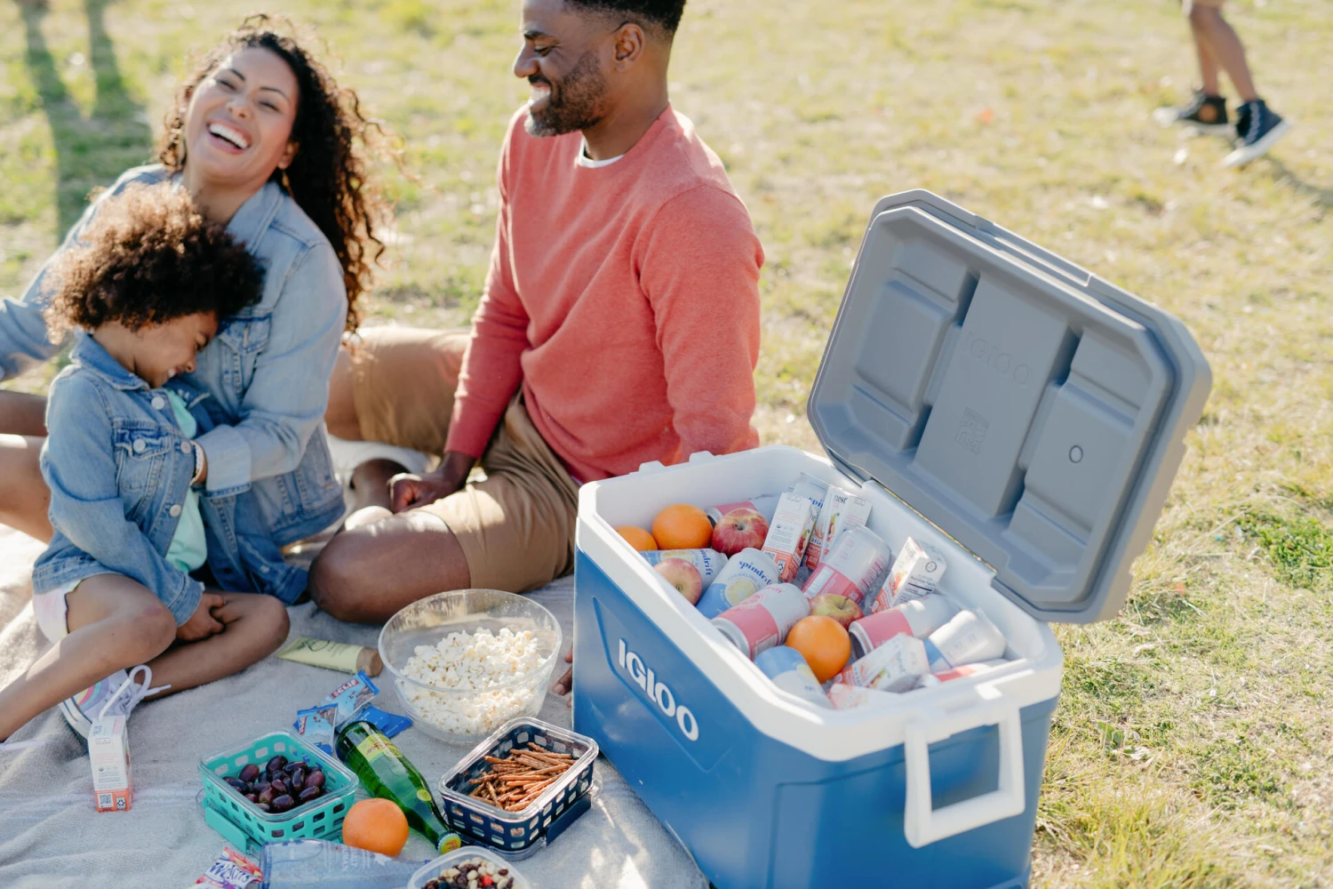 IGLOO Latitude 52QT Cool Box Red 10 IGLOO Latitude 52QT Cool Box Red - Image 10