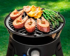 Cadac BBQ Grid 30 -Outdoor Camping Shop k99ed97a2ecfce9685eca27d9856eb126