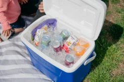 IGLOO Laguna 28QT Cool Box Red -Outdoor Camping Shop kb309529a331bee3c9613a50999a7df51