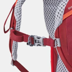 Quechua Children's Hiking/Trekking 40+10L Backpack MH500 35 Quechua Children's Hiking/Trekking 40+10L Backpack MH500 -Outdoor Camping Shop kcea862c59559a34a2e6f43ad6e6f5309