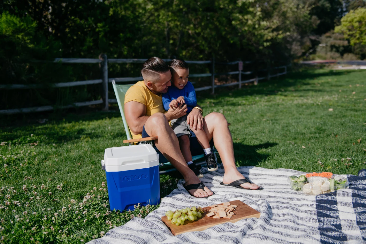 IGLOO Laguna 12 Cool Box Red 10 IGLOO Laguna 12 Cool Box Red - Image 10